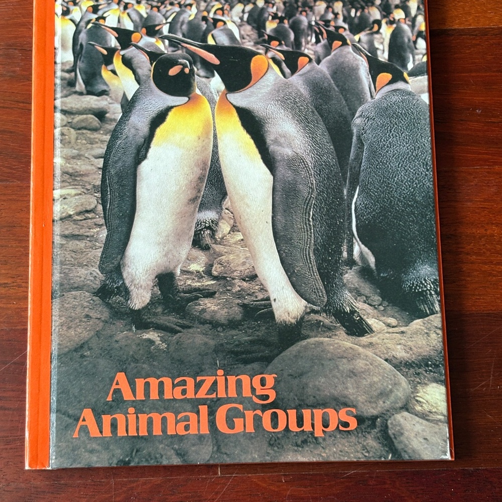 Animal Book Bundle - Picture 4 of 12